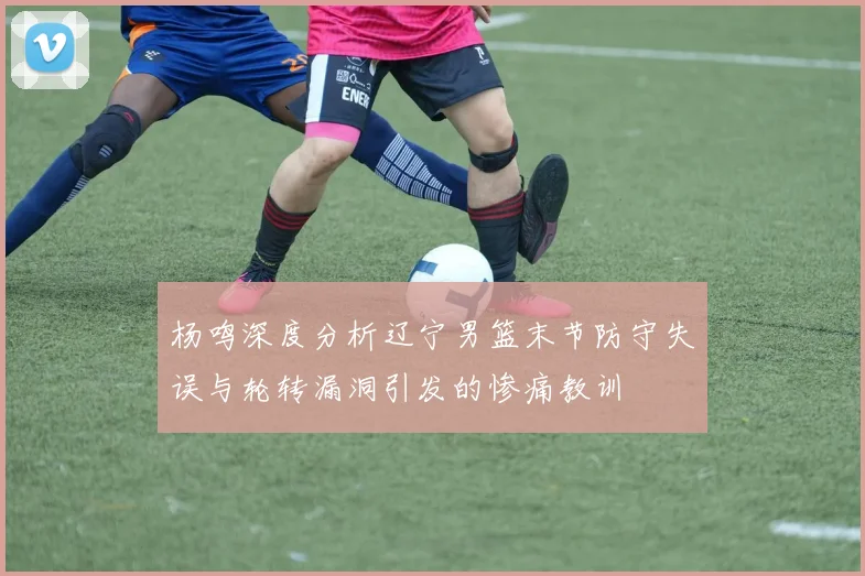 杨鸣深度分析辽宁男篮末节防守失误与轮转漏洞引发的惨痛教训